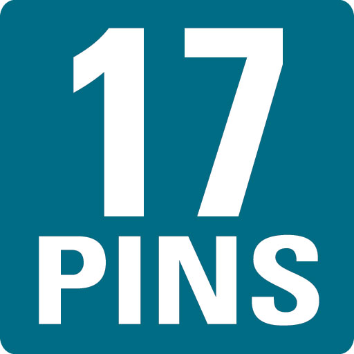 17 PINS