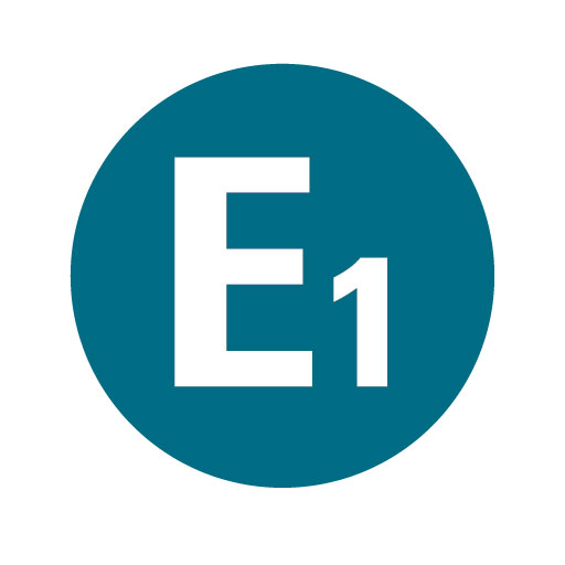 E1